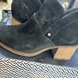 BearPaw Black Suede Ankle Booties